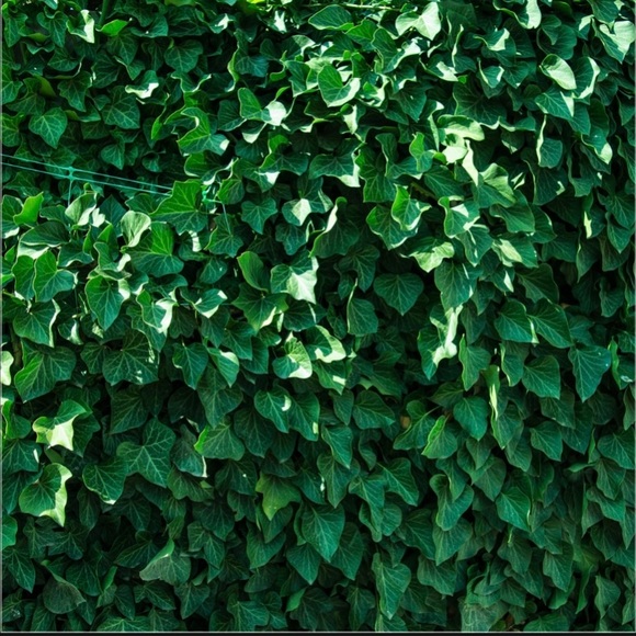 Jewelry - STERLING SILVER PINK BLISS